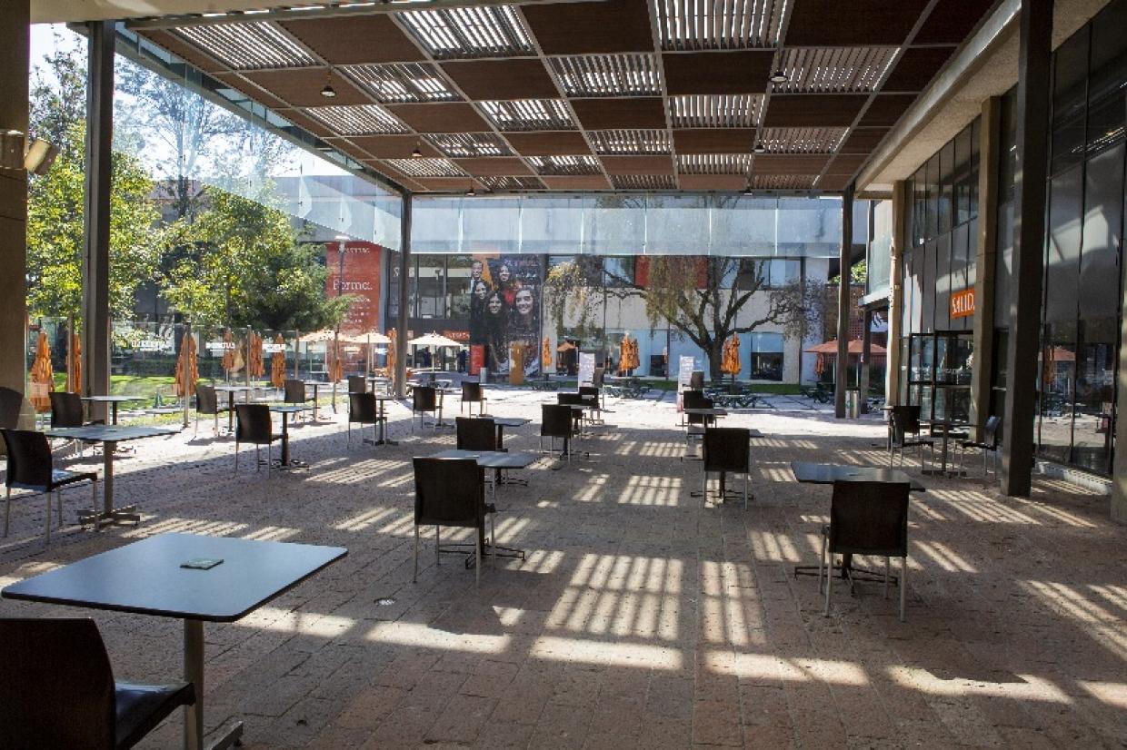 Actividades Académicas del CICA