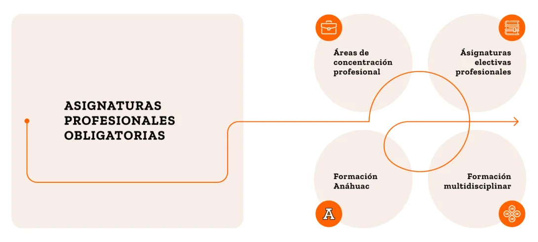 Estructura curricular de posgrado