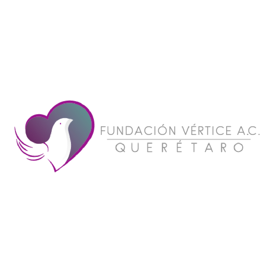 Fundación Vértice Querétaro, A.C.