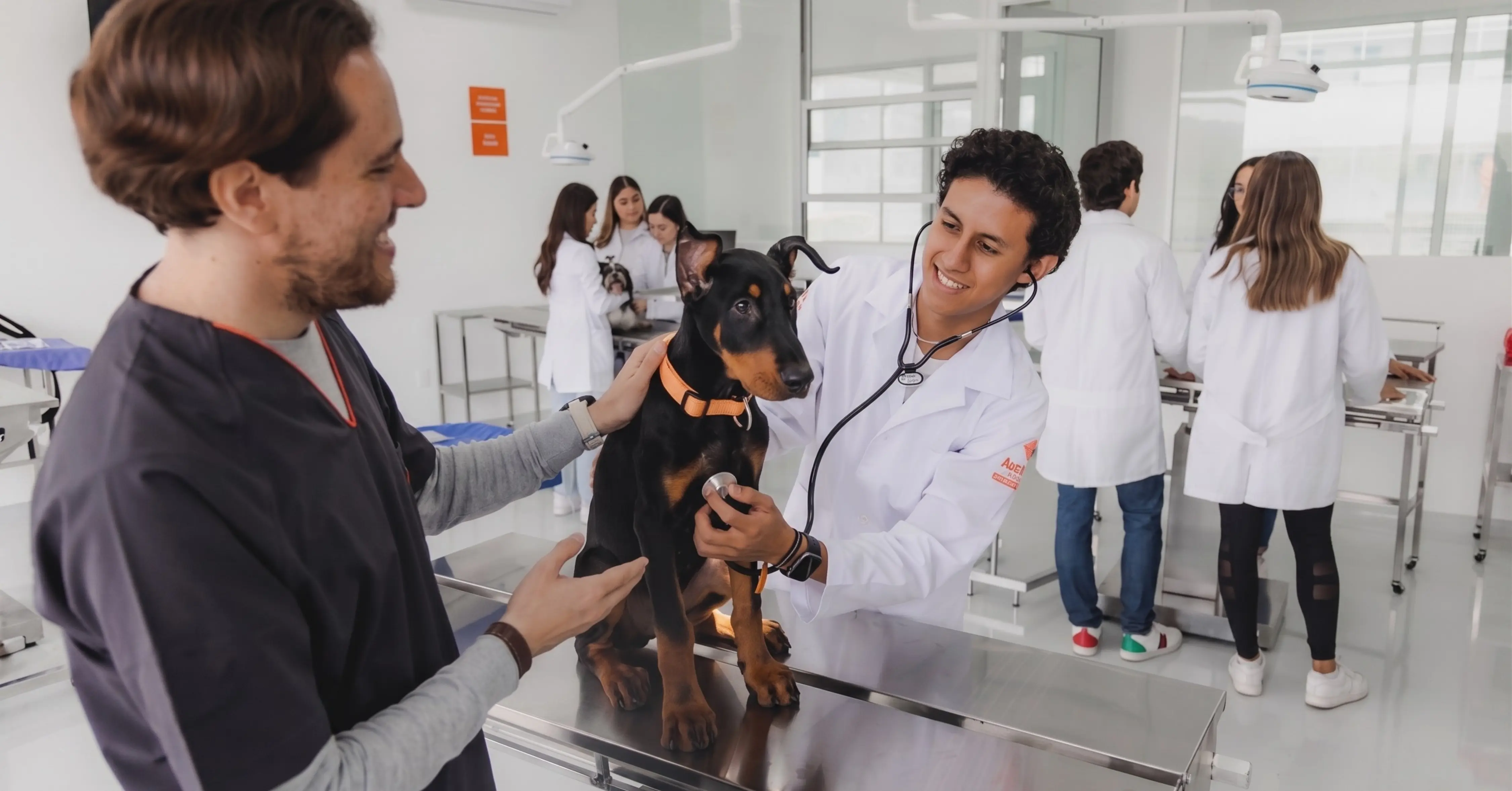estudiantes de veterinaria en universidad anahuac