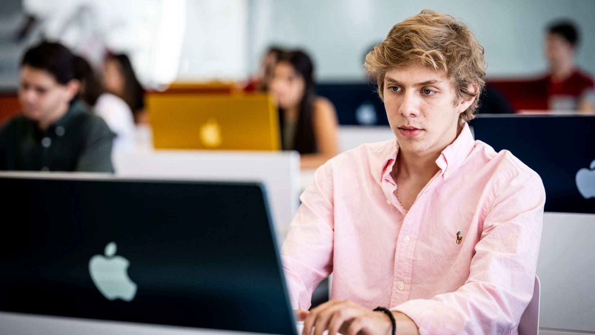 Estudiante de la anahuac haciendo su CV