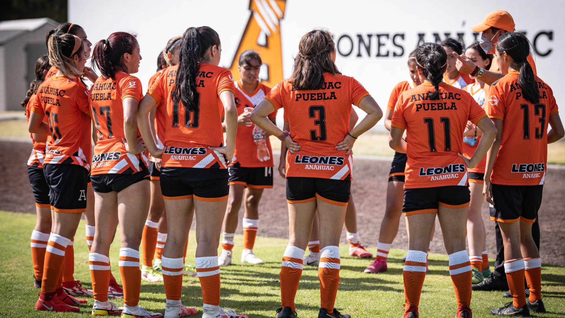 Leones Anahuac industria deportiva