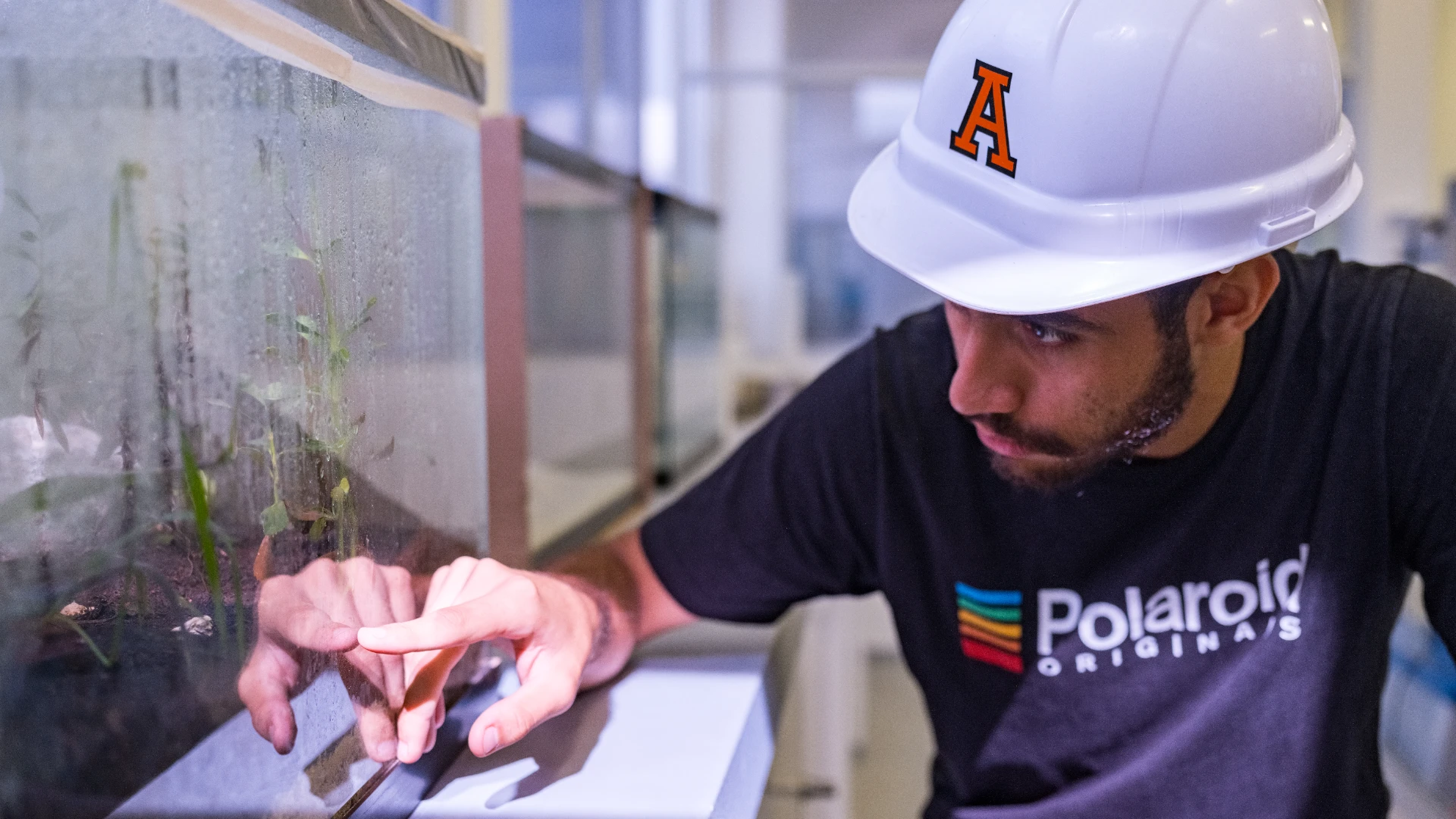 Estudiantes de ingeniería ambiental Anáhuac haciendo pruebas en laboratorio