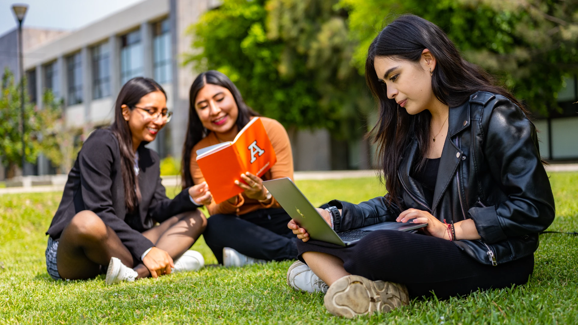 alumnas de la anahuac platicando y estudiando en el campus