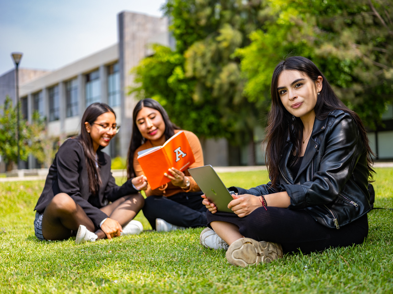 Intercambios estudiantiles