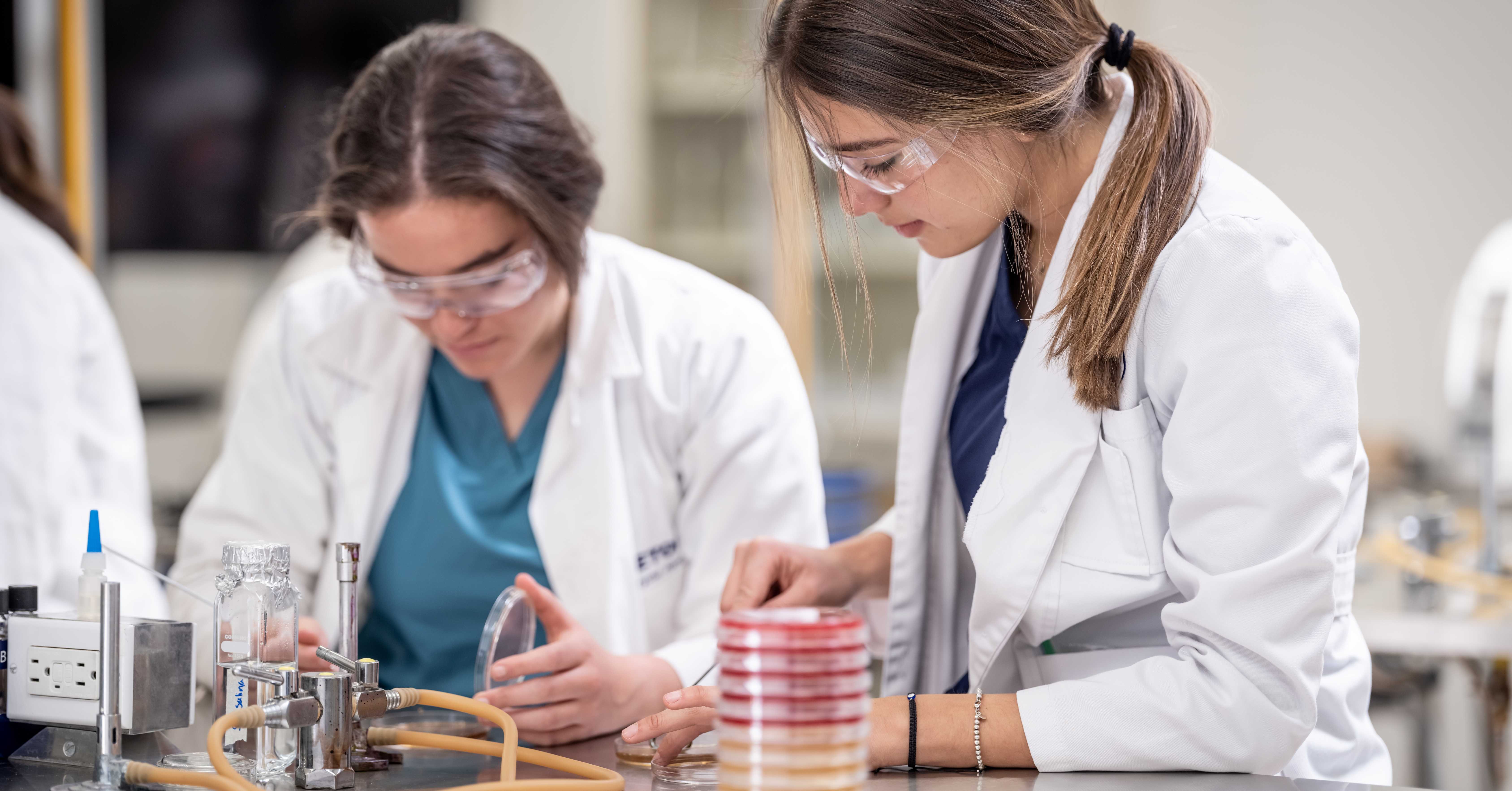 Estudiantes Anáhuac de ingeniería experimentado los alcances de la ia en la biotecnología