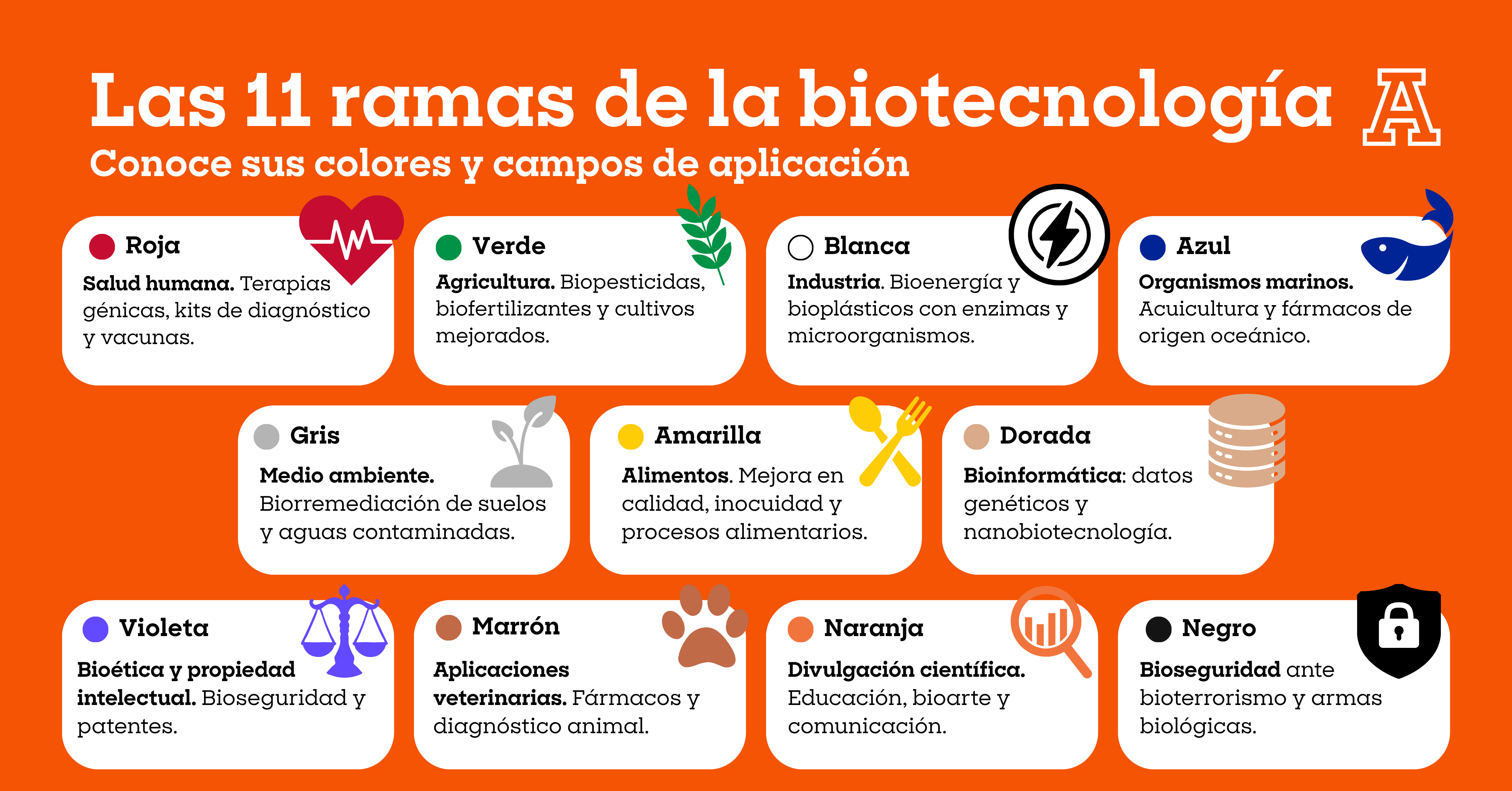 Infografia ramas de la biotecnologia colores anahuac