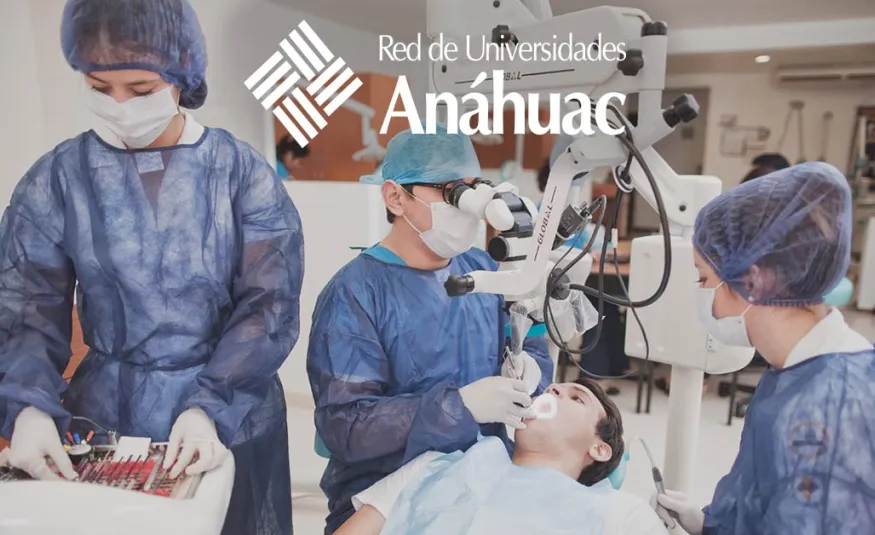 Alumnos del programa ALPHA en la Universidad An&aacute;huac