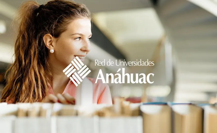 Qué especialidades puede estudiar un Licenciado en Derecho