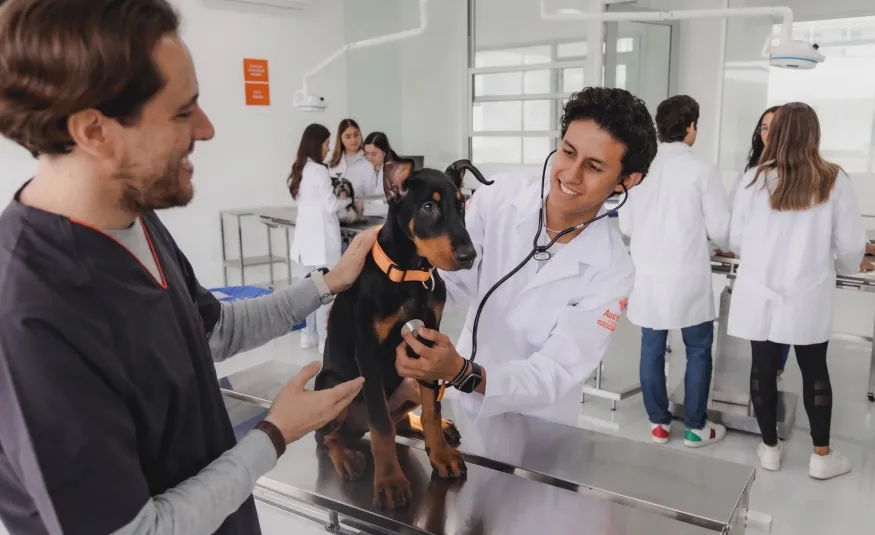 estudiantes de veterinaria en universidad anahuac