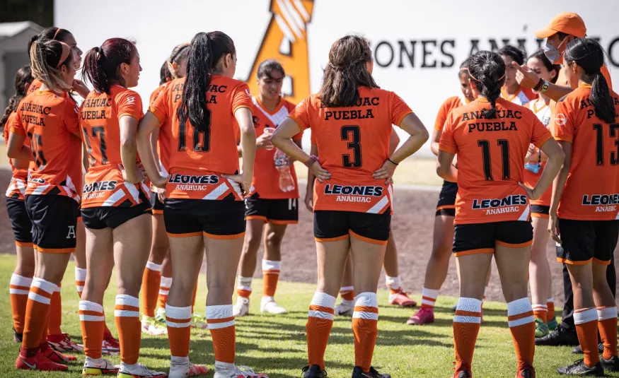 Leones Anahuac industria deportiva