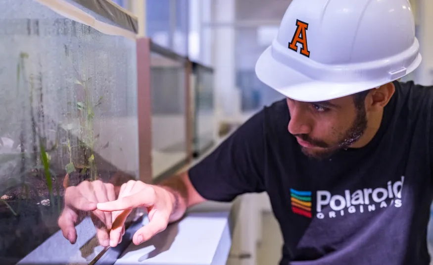 Estudiantes de ingeniería ambiental Anáhuac haciendo pruebas en laboratorio