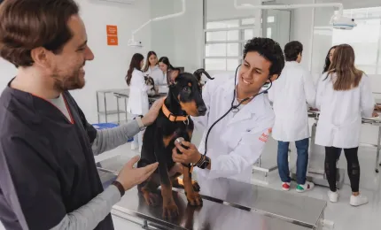 estudiantes de veterinaria en universidad anahuac