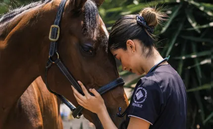 Estudiante de veterinaria zootecnia anahuac acariciando un caballo