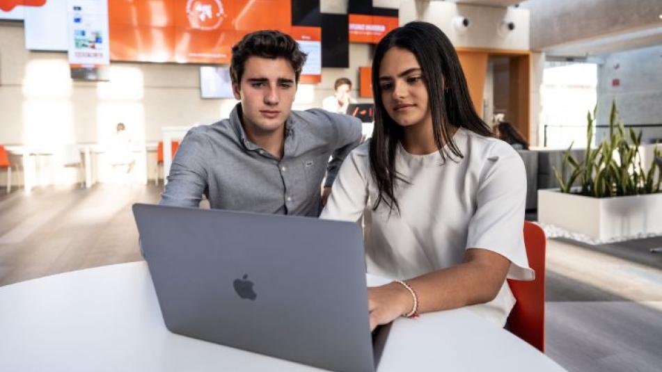 What to do when you don't know what career to study?