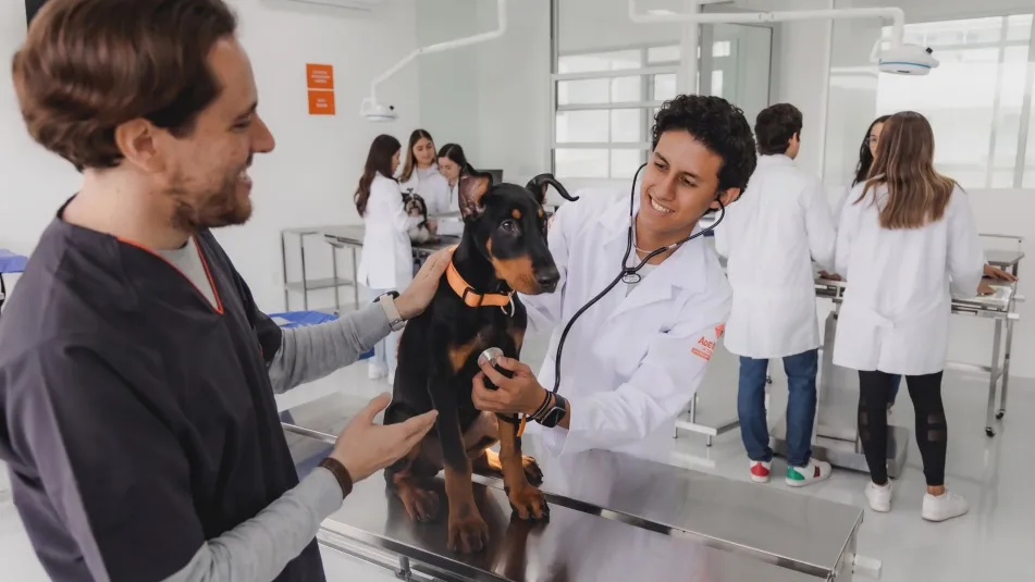 estudiantes de veterinaria en universidad anahuac