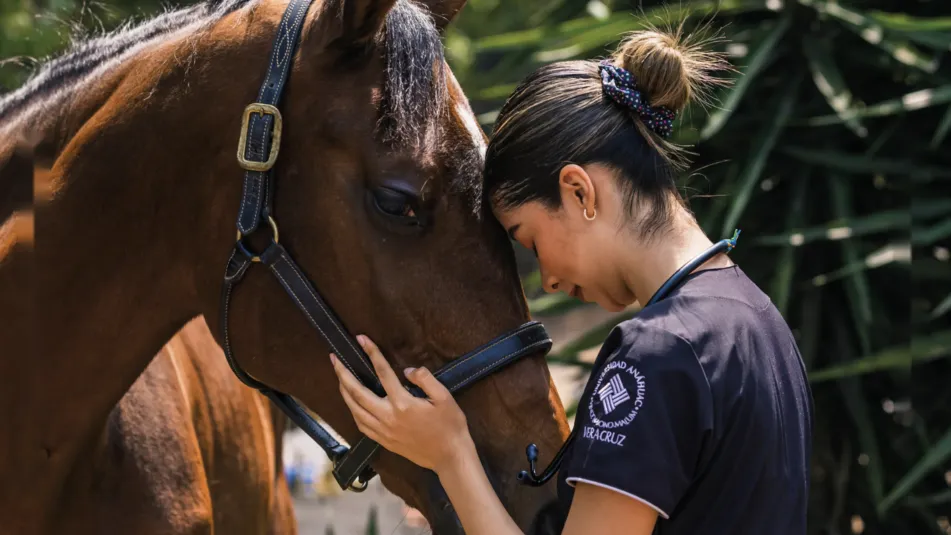 Estudiante de veterinaria zootecnia anahuac acariciando un caballo