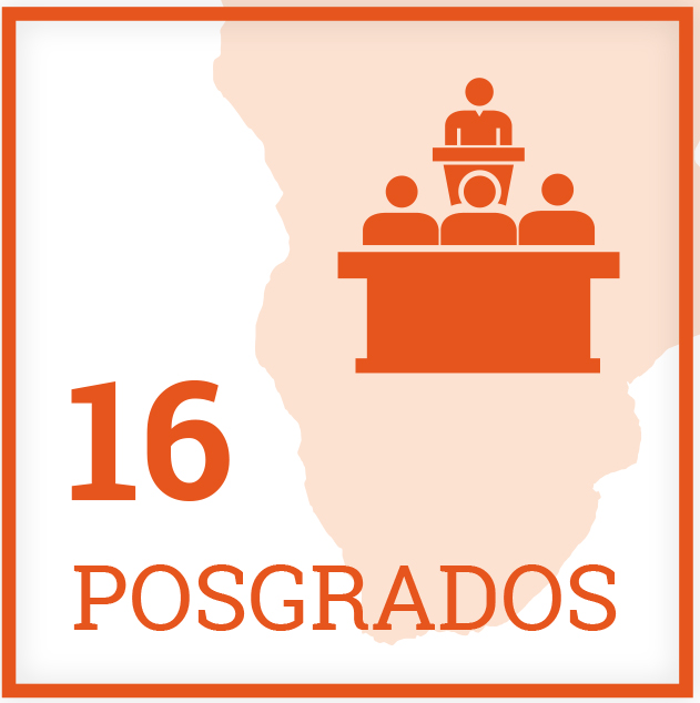 16 posgrados