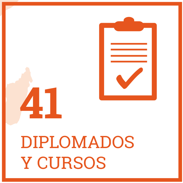 41 DIPLOMADOS Y CURSOS