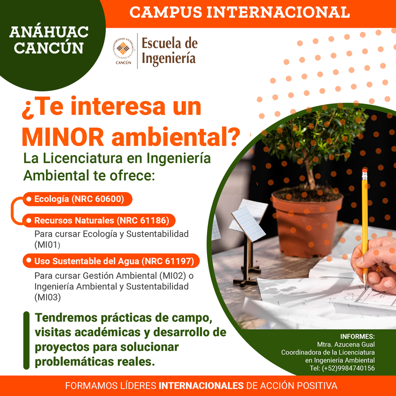 MINOR AMBIENTAL