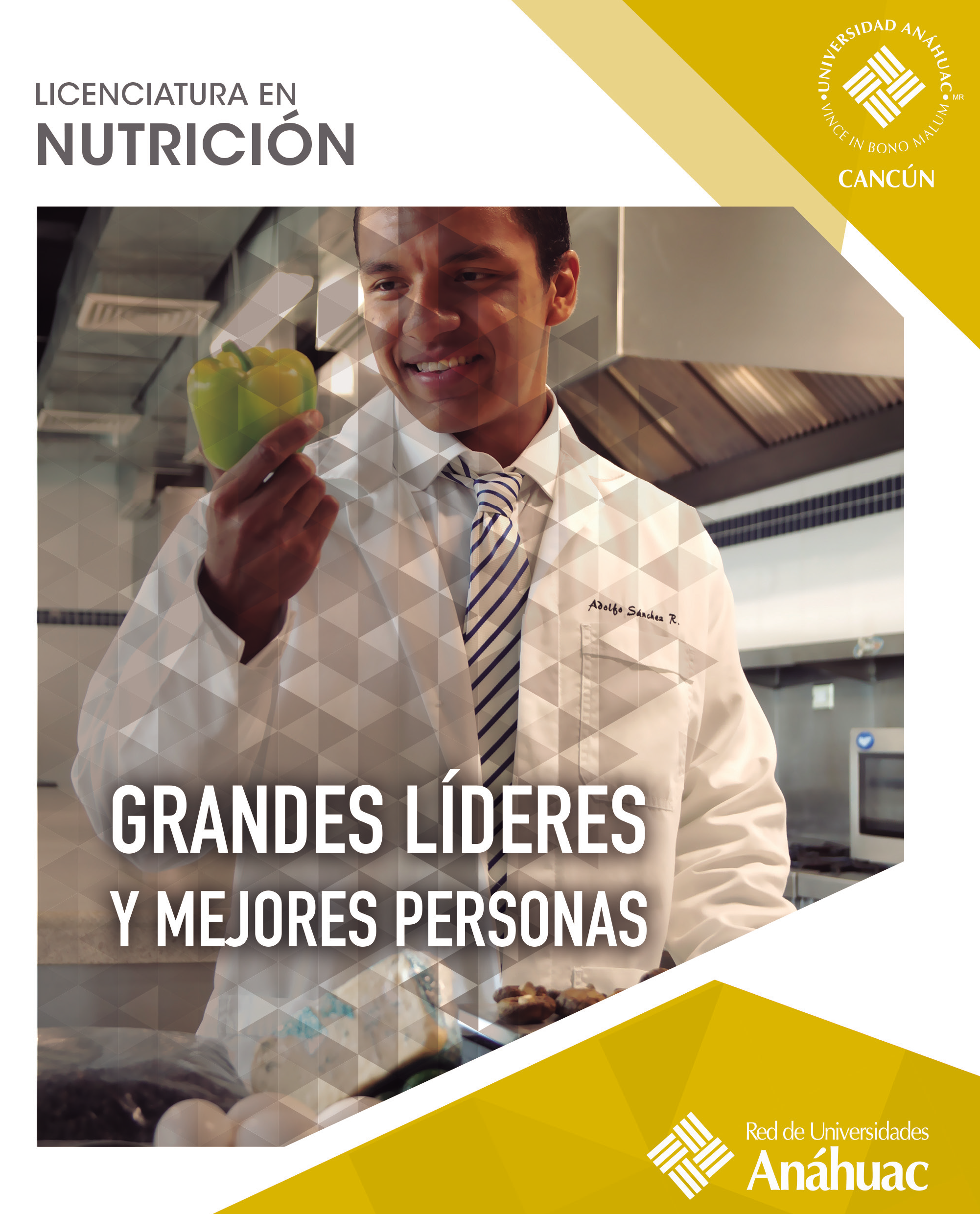 Nutrición Anáhuac