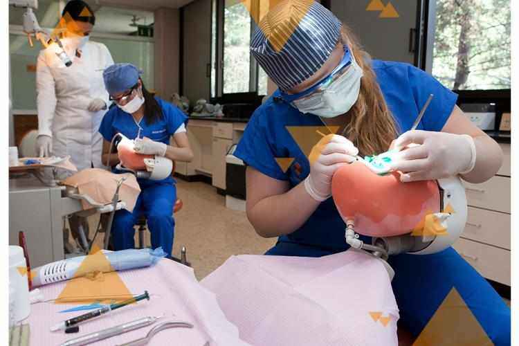 Médico Cirujano Dentista Universidad Anáhuac Cancún