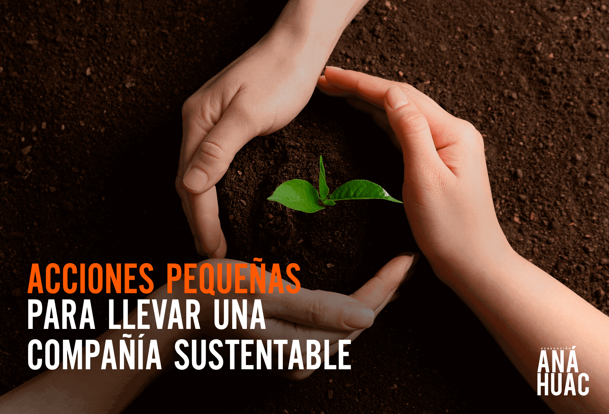 acciones-tips-ser-tener-compañía-empresa-sustentable