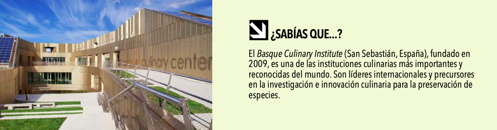 investigación en la gastronomía en la Anáhuac