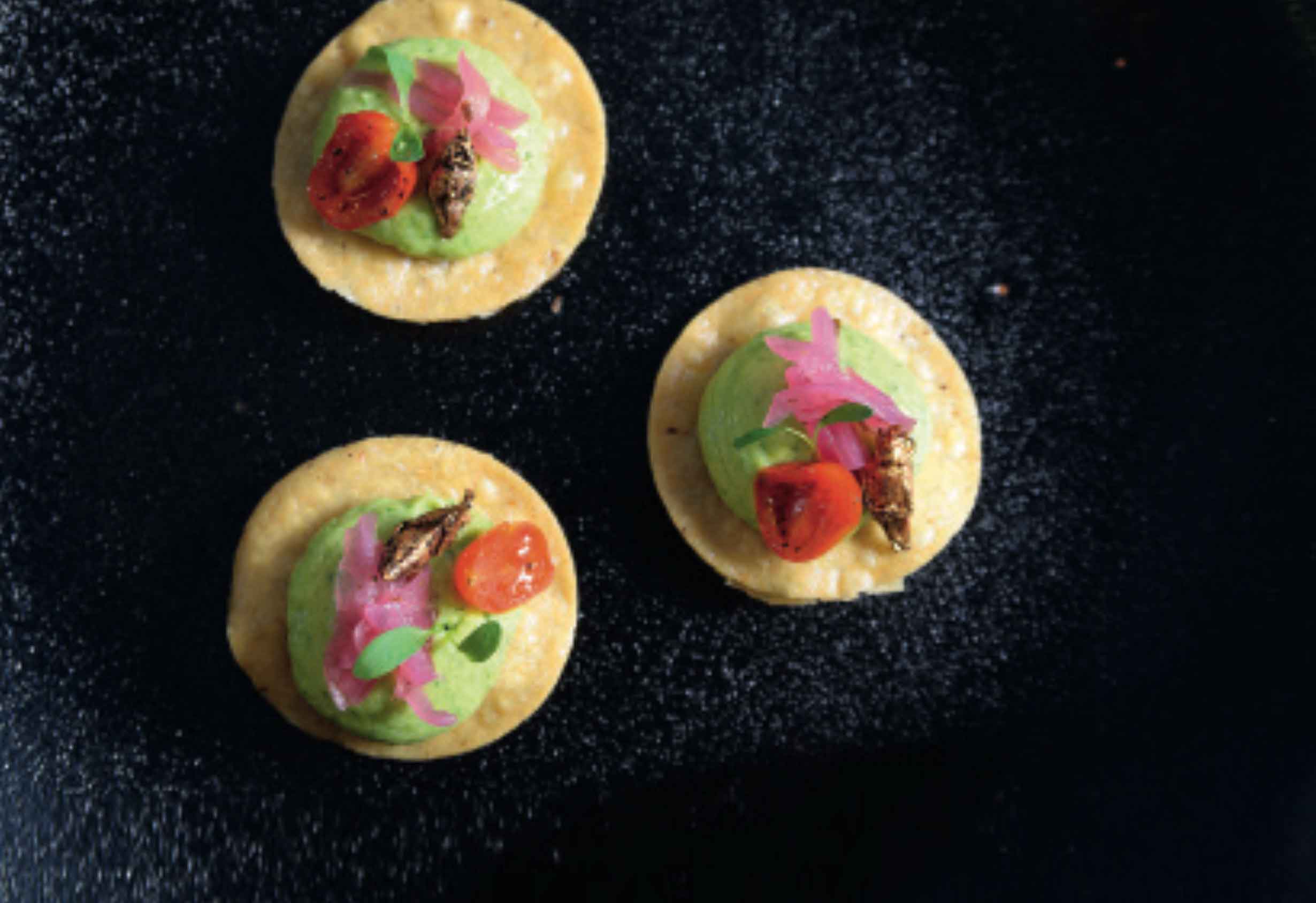 Platillos elaborados por el Chef Omar Morales Heredia, catedrático de la Escuela Le Cordon Bleu México: Tostada de guacamole y chapulines, ensalada de nopales en su versión moderna, lomo de cerdo con mole y hormiga chicatana.