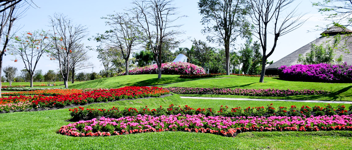 Escapada de un día: ¡visita los Jardines de México! | Generación Anáhuac