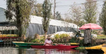 El regreso de las chinampas