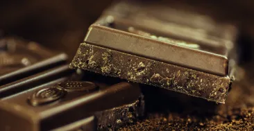 El chocolate desaparecería en 2050: ¿será posible salvarlo?