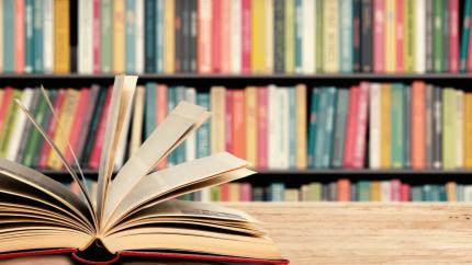 libros extensos
