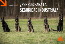 perros para la seguridad industrial