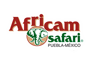 Africam Safari