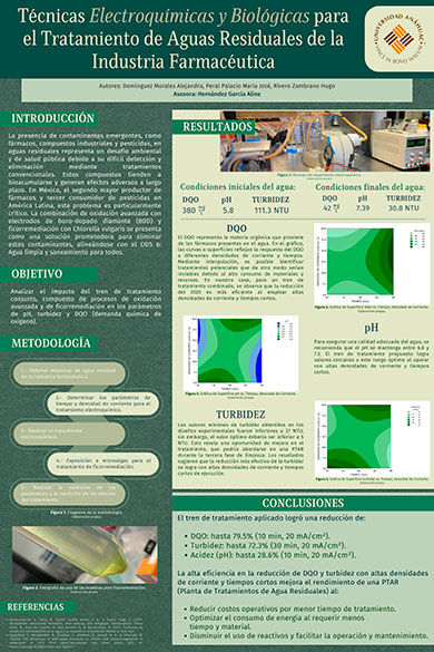Segundo premio XIV Concurso, Licenciatura 