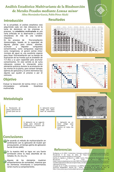 Tercer premio XIII Concurso, Posgrado