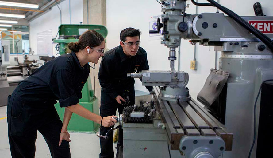 ocde universidad 