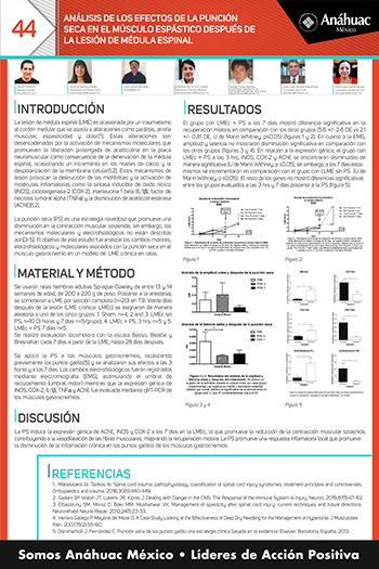 ANÁLISIS DE LOS EFECTOS DE LA PUNCIÓN SECA EN EL MÚSCULO ESPÁSTICO DESPUÉS DE LA LESIÓN DE MÉDULA ESPINAL