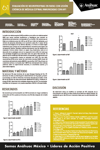 EVALUACIÓN DE NEUROTROFINAS EN RATAS CON LESIÓN CRÓNICA DE MÉDULA ESPINAL INMUNIZADAS CON A91