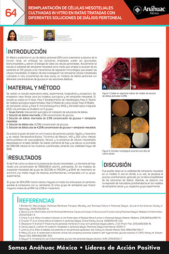 REIMPLANTACIÓN DE CÉLULAS MESOTELIALES CULTIVADAS IN VITRO EN RATAS TRATADAS CON DIFERENTES SOLUCIONES DE DIÁLISIS PERITONEAL