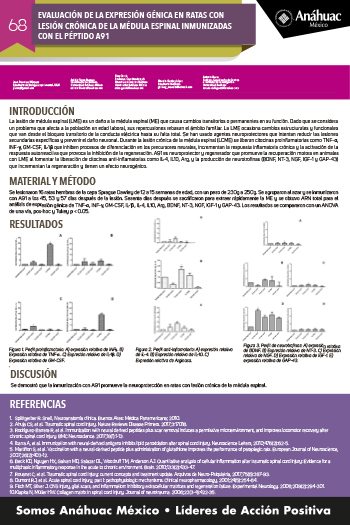 EVALUACIÓN DE LA EXPRESIÓN GÉNICA EN RATAS CON LESIÓN CRÓNICA DE LA MÉDULA ESPINAL INMUNIZADAS CON EL PÉPTIDO A91