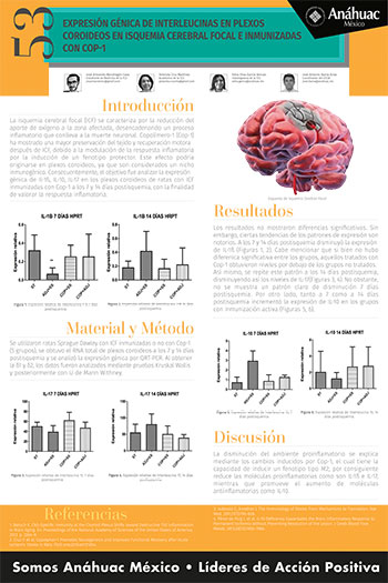 Expresión génica de interleucinas en plexos coroideos en isquemia cerebral focal e inmunizadas con Cop-1