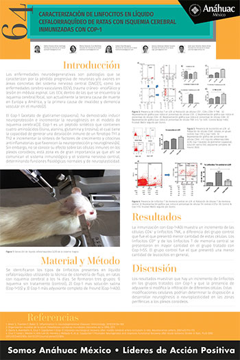 Caracterización de linfocitos en líquido cefalorraquídeo de ratas con isquemia cerebral inmunizadas con Cop-1