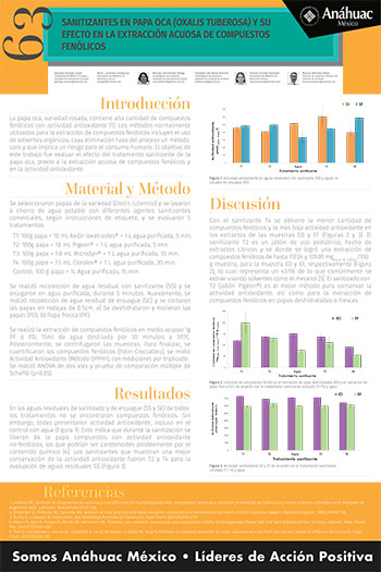 Sanitizantes en Papa oca (Oxalis Tuberosa) y su efecto en la extracción acuosa de compuestos fenólicos