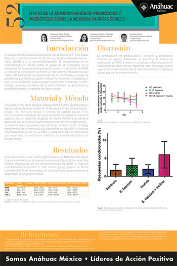 Efecto de la administración de prebióticos y prebióticos sobre la memoria en ratas seniles