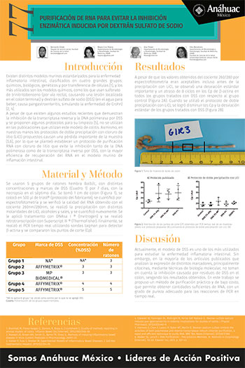 Purificación de RNA para evitar la inhibición enzimática inducida por Dextrán sulfato de sodio