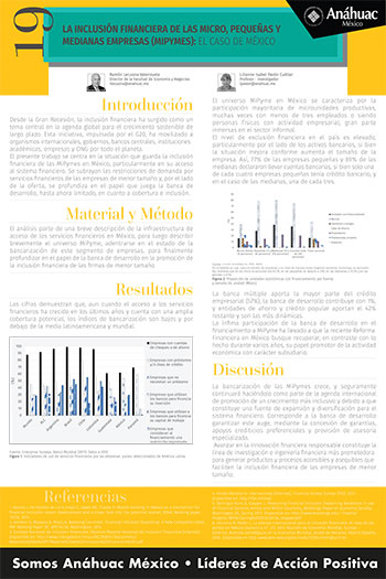 •	La inclusión financiera de las micro, pequeñas y medianas empresas (MIPYMES): el caso de México