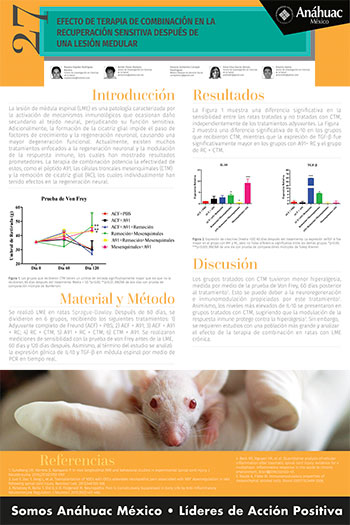 Efecto de terapia de combinación en la recuperación sensitiva después de una lesión medular