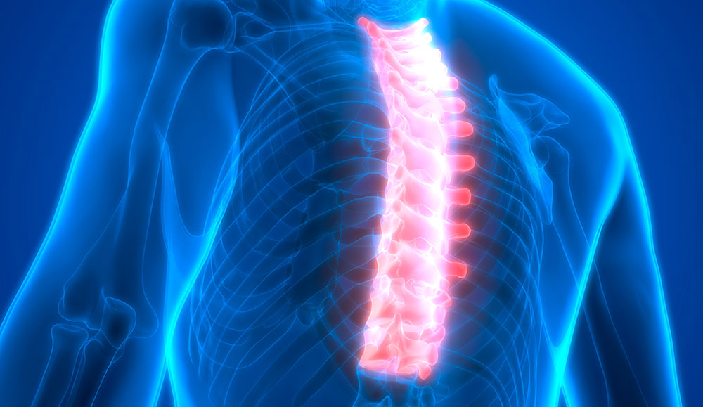 tratamiento medula espinal